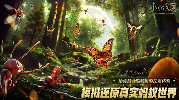 小小蚁国手游1