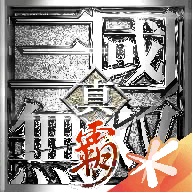 真三国无双霸游戏