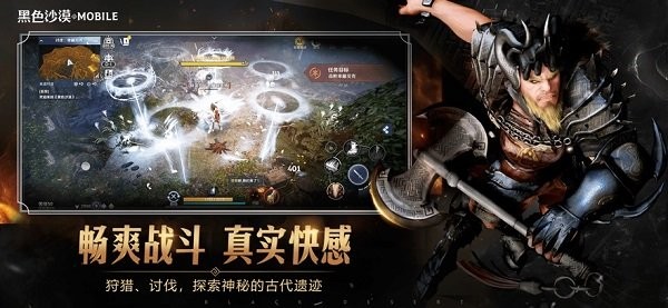 黑色沙漠游戏 黑色沙漠手游