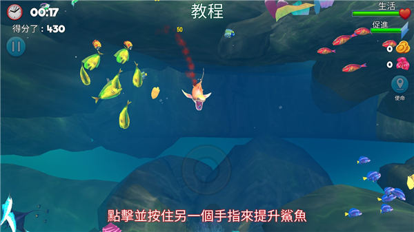 双头鲨0