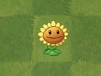 植物大战僵尸2国际服正版