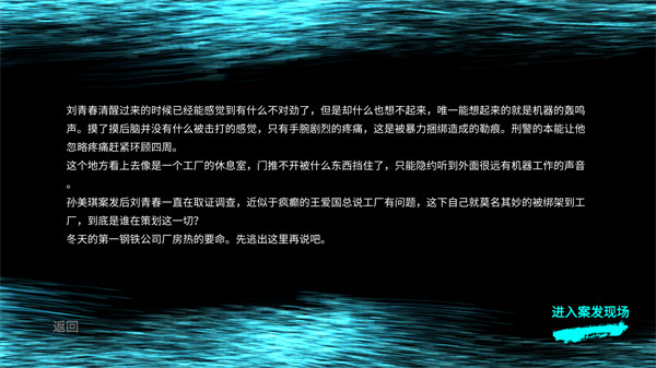 孙美琪疑案王爱国4