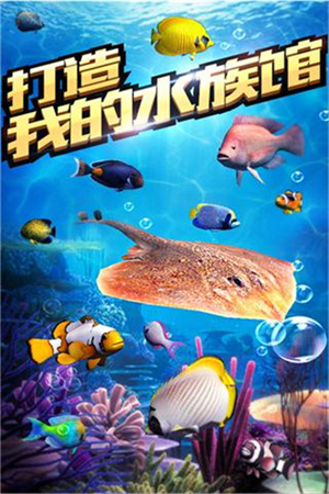 全民钓鱼2026版官方正版3