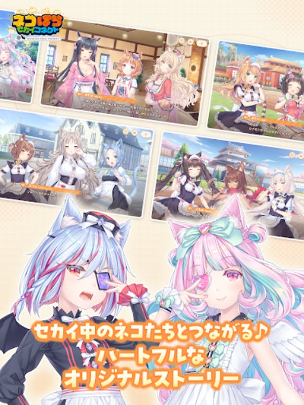 猫娘乐园世界连结国际版