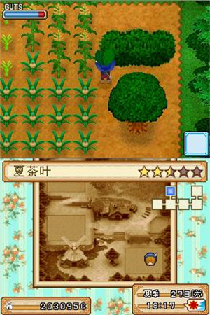 牧场物语风之集市版手游3