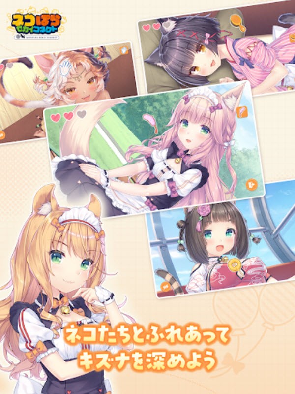 猫娘乐园世界连结国际版