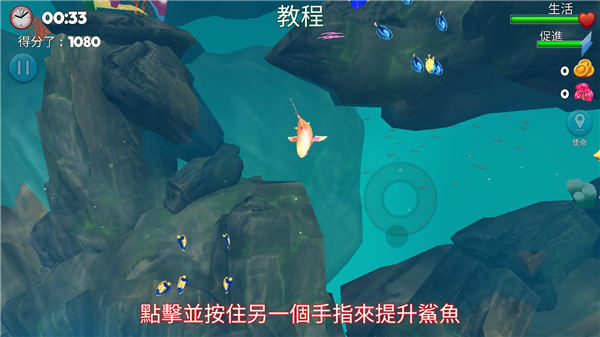 双头鲨1