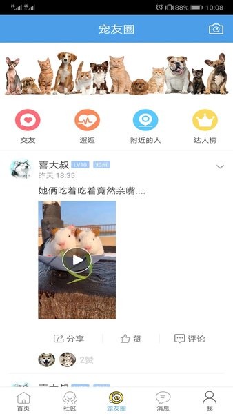 宠物之家官方版1