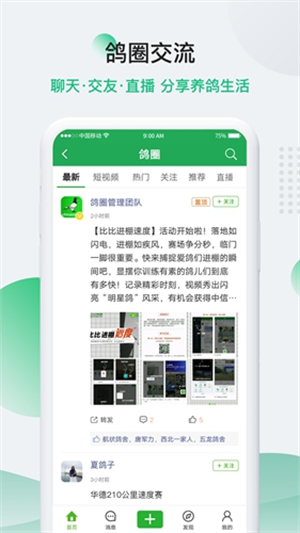 中国信鸽信息网3