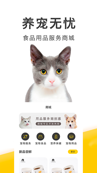 买只宠物软件0
