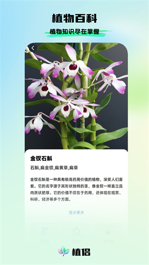 植侣3
