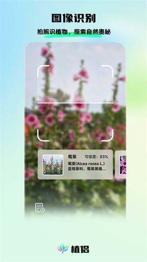 植侣1