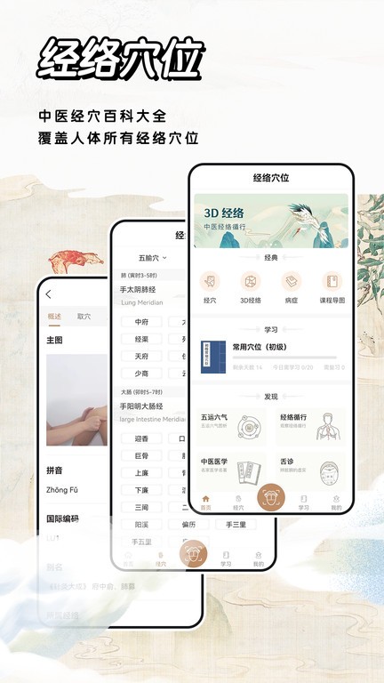 中医经络穴位标准指南0