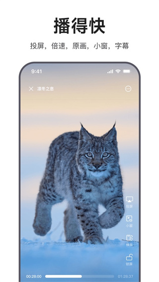 迅雷浏览器免费4