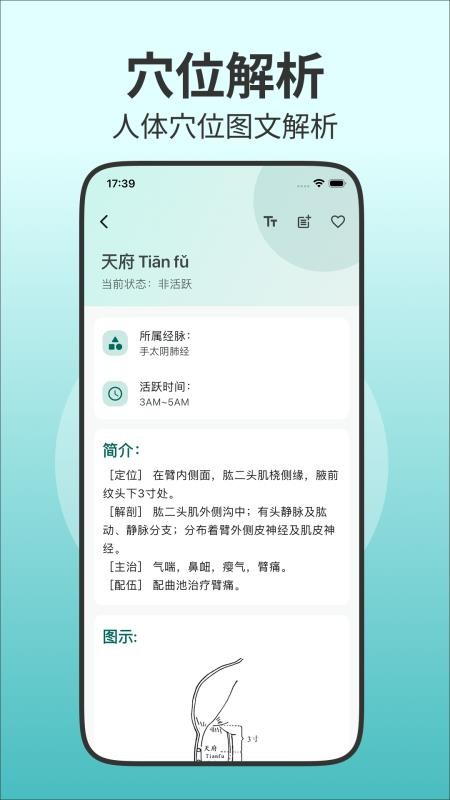 人体穴位图解官方版3