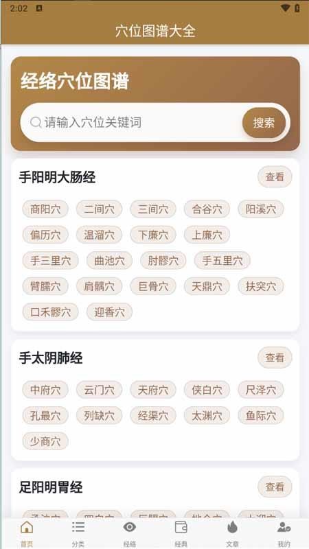 穴位图谱大全官方版3