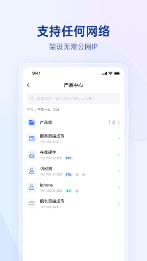 贝锐蒲公英2