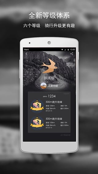黑鸟单车0