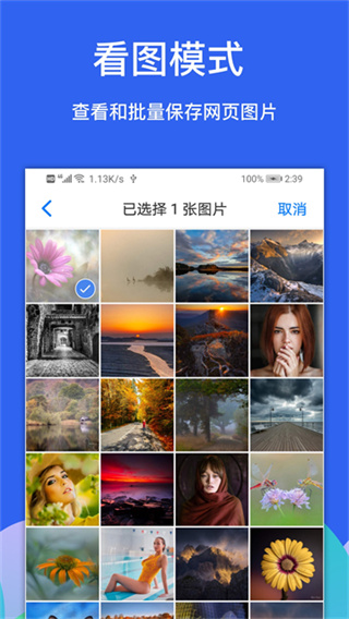 Alook手机浏览器1