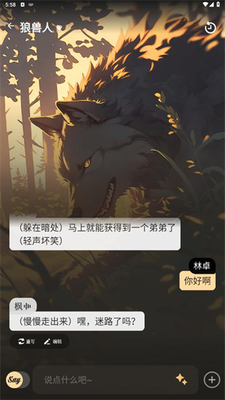 saylo聊天软件3