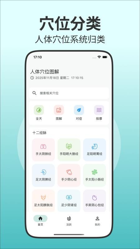 人体穴位图解官方版4