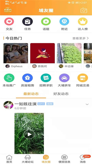 大埔网1