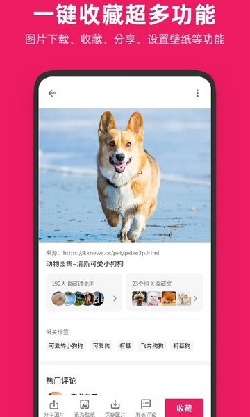 图片搜搜APP免费2
