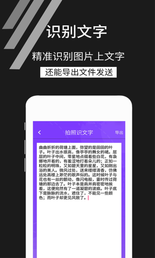 拍照识文字软件1