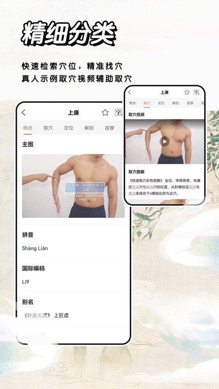 中医经络穴位标准指南2