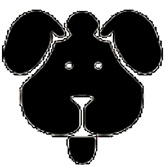 BT磁力狗app