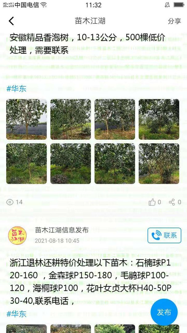 苗木江湖app1