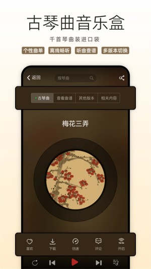 国琴网2