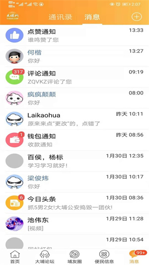 大埔网3