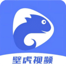 壁虎视频手机版