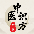 中医识方