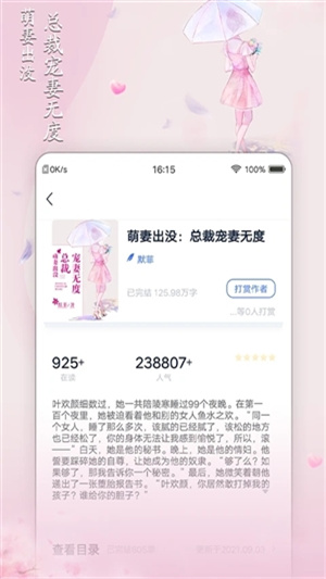 小说家0
