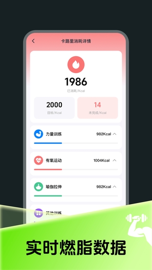 每日燃脂运动打卡官网版3