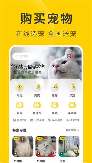 买只宠物3