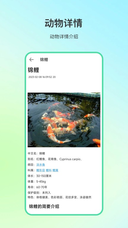 动物百科3