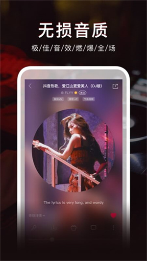 DJ秀车载中文版1