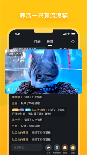 街猫1