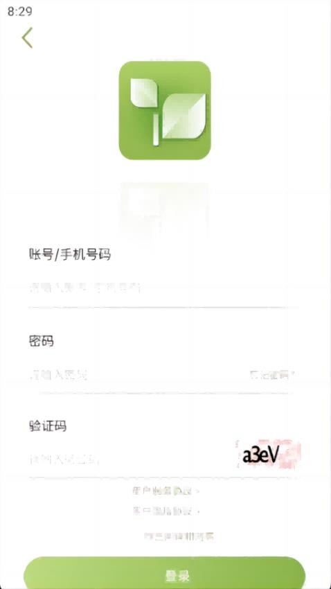 乾茶官网版0