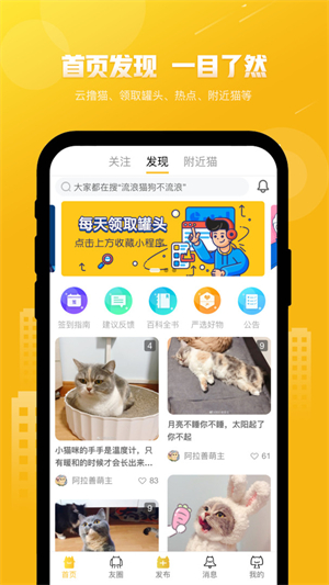 友猫官网版3