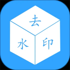 去水印视频