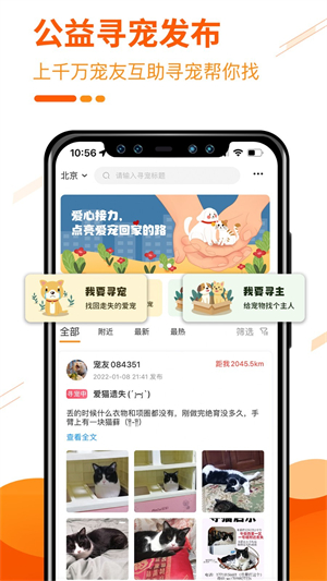 人人宠0
