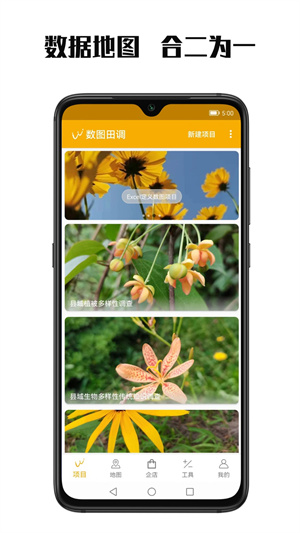 数图3