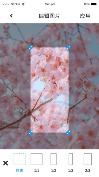 P图照片处理app