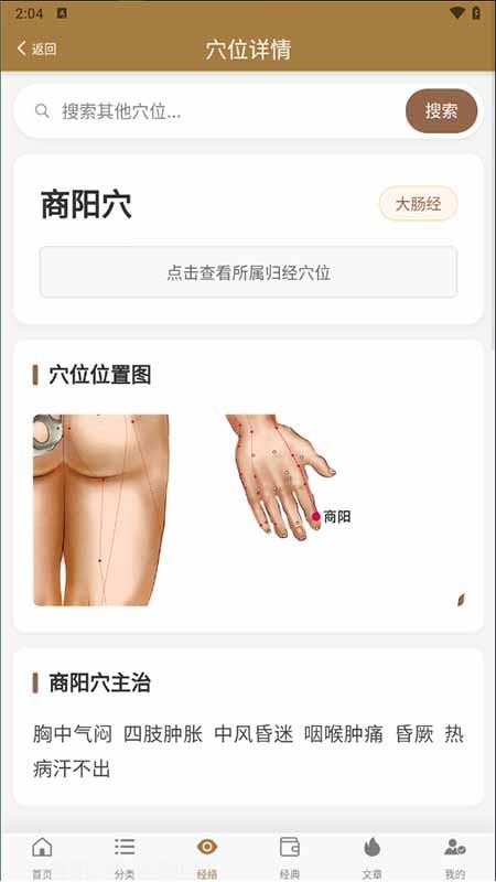 穴位图谱大全官方版0