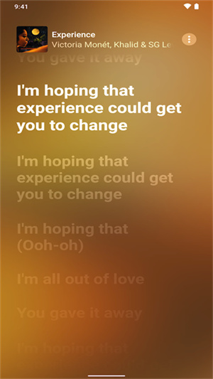 Apple Music app(苹果音乐播放器)3