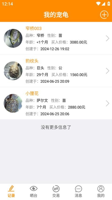 龟圈江湖最新版0